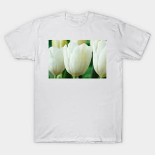 Tulipa  &#39;White Dream&#39;  Tulip T-Shirt